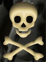 skull.jpg